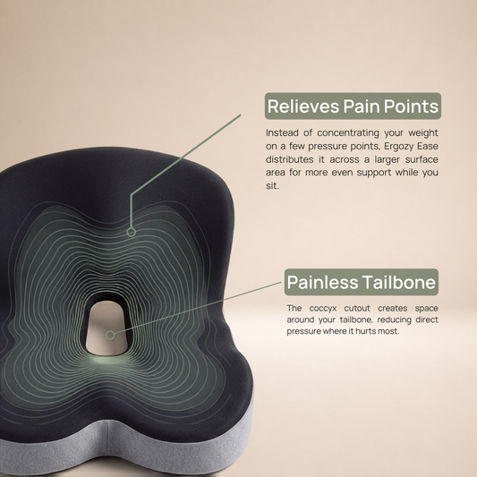 Ergozy® Ease